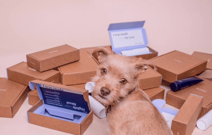 A pet with pet supplies subscription boxes