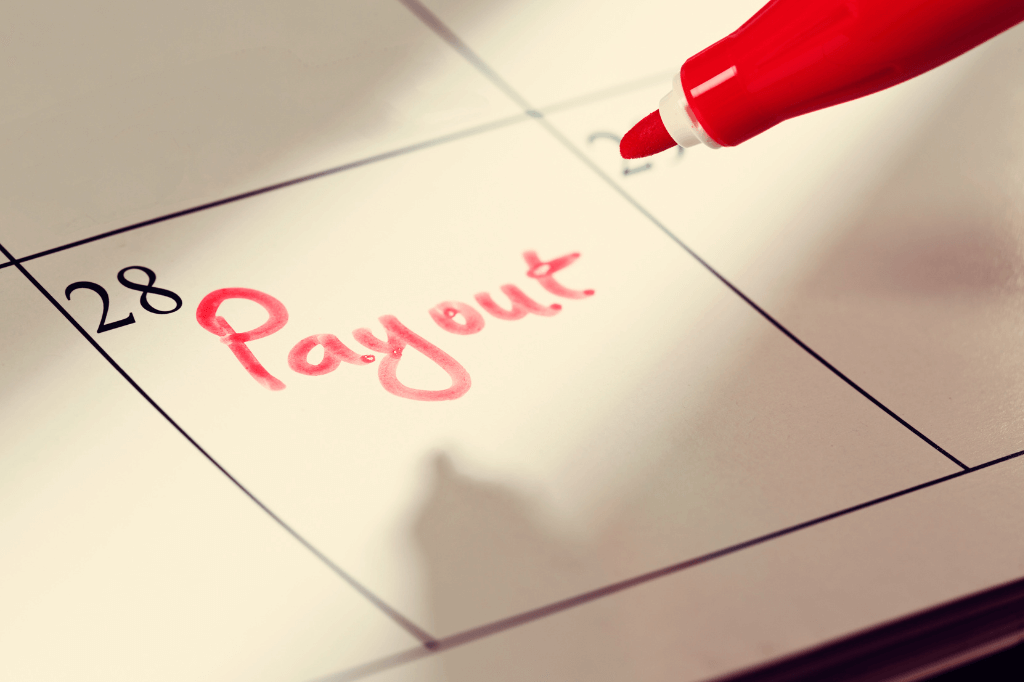 All You Need to Know About Payouts and Settlements with Paymennt